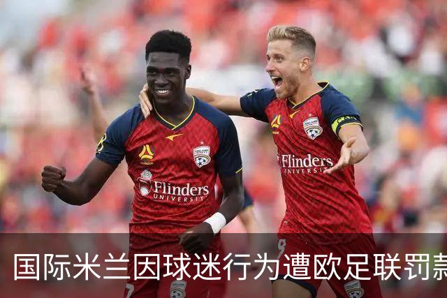 国际米兰因球迷行为遭欧足联罚款2万欧元