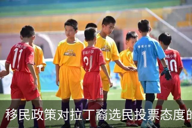 移民政策对拉丁裔选民投票态度的影响研究